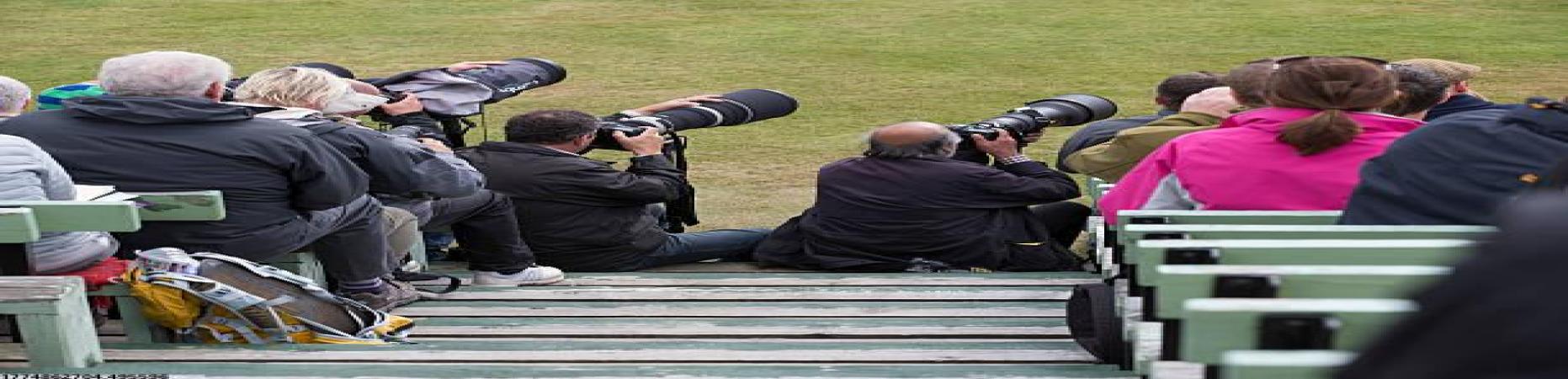 世界杯比分预测赛季回顾书籍与出版案